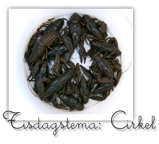 Tisdagstema: Cirkel