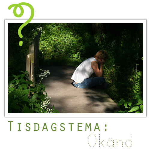 Tisdagstema: Okänd