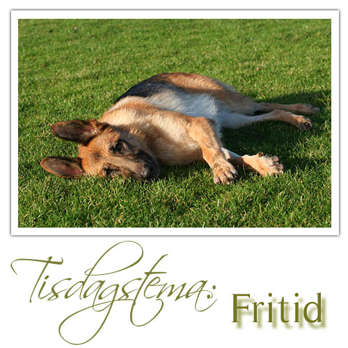 Fritid