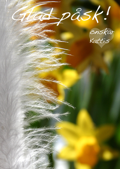 PÃ¥skkort 2010
