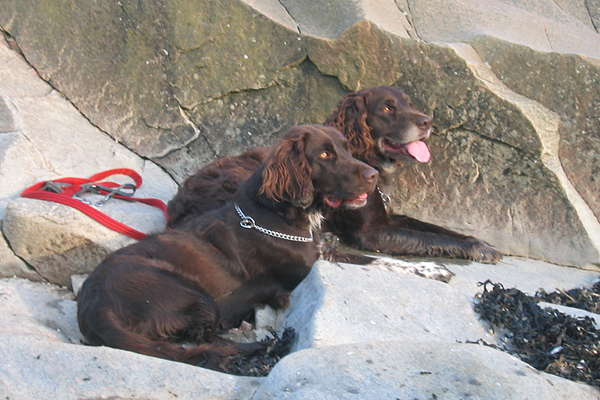 Nelli och Målle vid havet