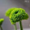 20100416_24514_liten_cr