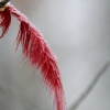 20081030_24654_liten_cr