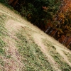 20081016_24436_liten_cr