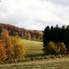 20081016_24494_liten_cr