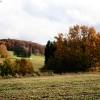 20081016_24497_liten_cr