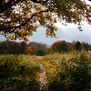 20081016_24510_liten_cr