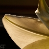 20080113_17379_liten_cr