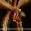 20080217_18122_liten_cr