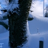20040201_04_liten_cr