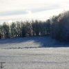 20040201_09_liten_cr