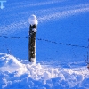 20040201_24_liten_cr