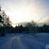 20060104_6177_liten_cr