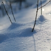 20070127_10648_liten_cr